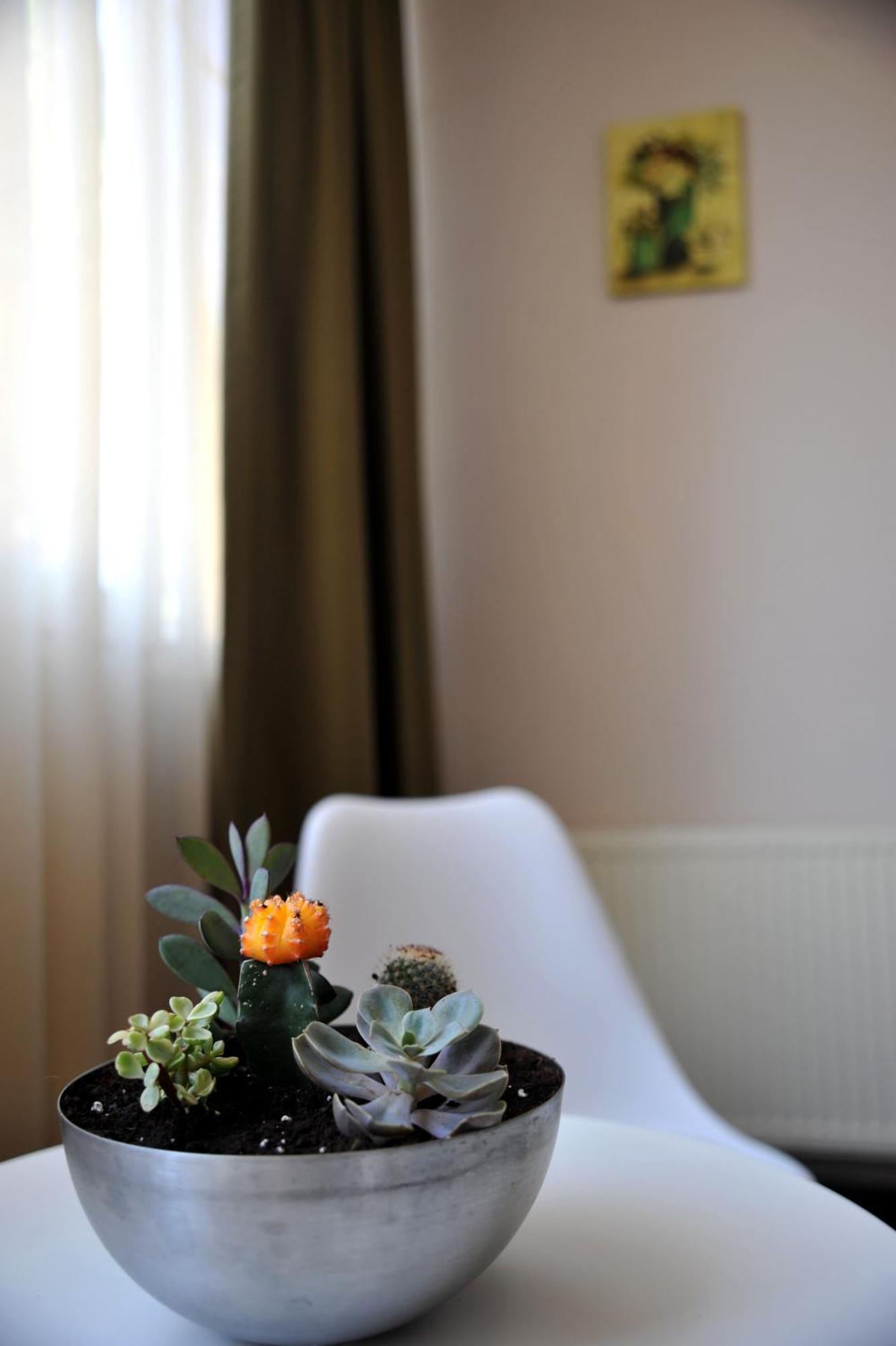 Like Home Braşov Extérieur photo
